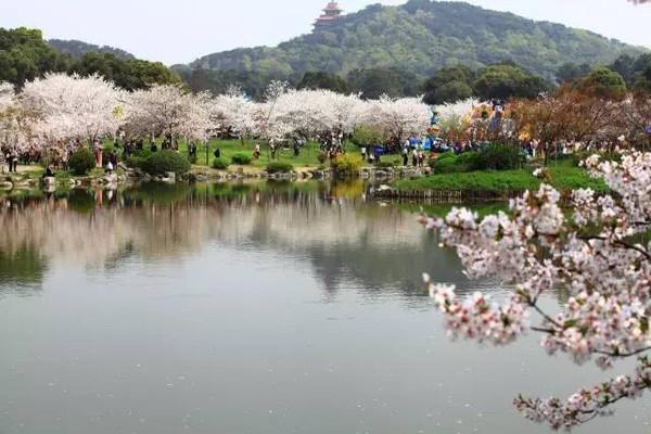 武汉哪些地方值得旅游？